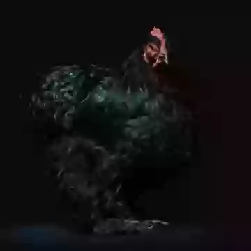 Драматичная курица