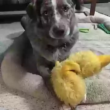 Это не я